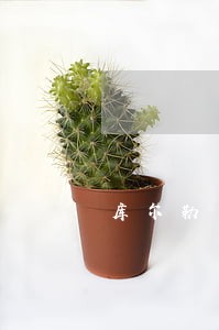 库尔勒离婚律师免费咨询 库尔勒离婚律师免费咨询