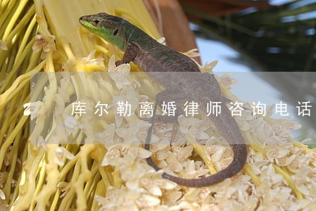 库尔勒离婚律师咨询电话 库尔勒离婚律师咨询电话