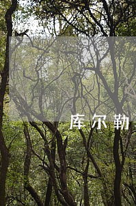 库尔勒聘请离婚律师团队 库尔勒聘请离婚律师团队