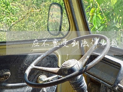 应不要受到法律制裁 应不要受到法律制裁