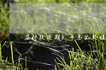 应付款逾期3年怎么处理 应付款逾期3年怎么处理