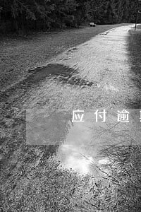 应付逾期的信用卡 应付逾期的信用卡