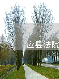 应县法院立案庭厅长