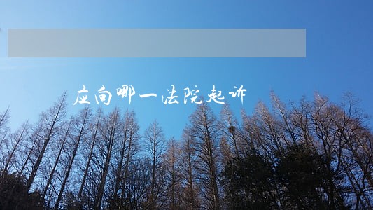 应向哪一法院起诉 应向哪一法院起诉
