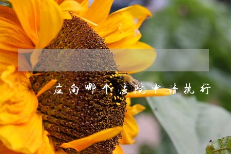 应向哪个法院申请执行 应向哪个法院申请执行
