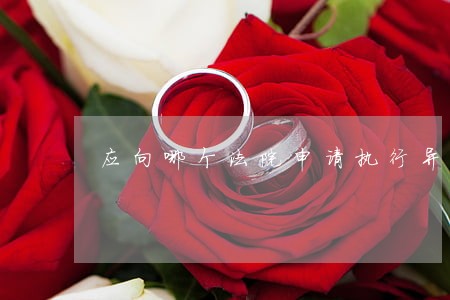 应向哪个法院申请执行异议