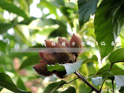 应城信用卡逾期记录 应城信用卡逾期记录