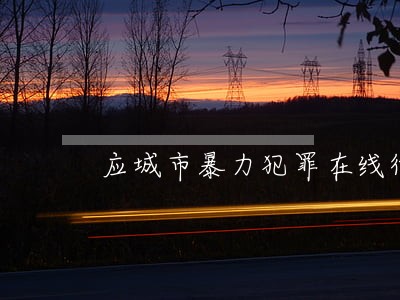 应城市暴力犯罪在线律师 应城市暴力犯罪在线律师