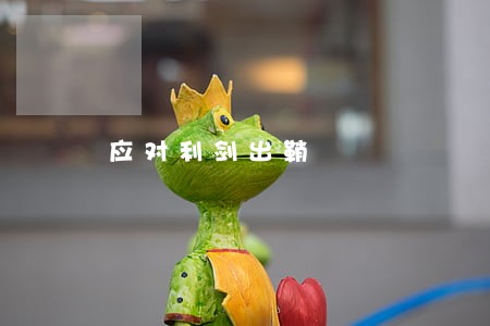 应对利剑出鞘 应对利剑出鞘
