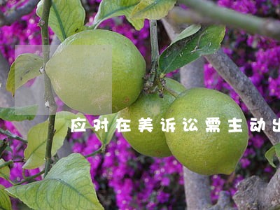 应对在美诉讼需主动出击 应对在美诉讼需主动出击