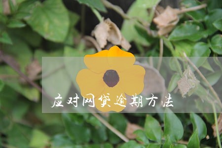 应对网贷逾期方法 应对网贷逾期方法