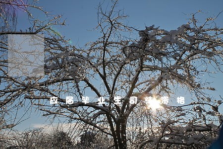 应届毕业生司法资格 应届毕业生司法资格