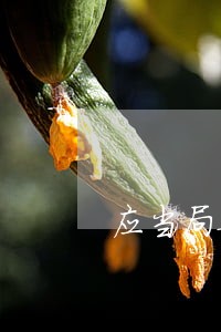 应当局要求举行的立法者专门会议 应当局要求举行的立法者专门会议