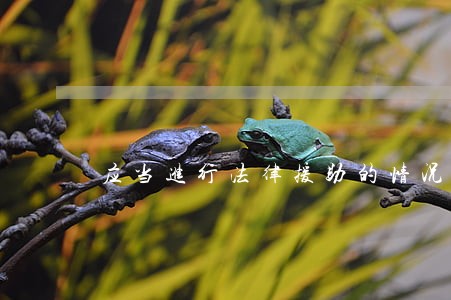 应当进行法律援助的情况 应当进行法律援助的情况