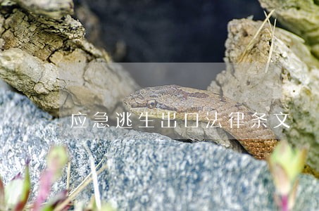 应急逃生出口法律条文 应急逃生出口法律条文