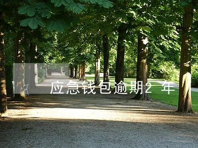 应急钱包逾期2年