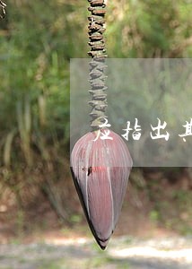 应指出其违法行为