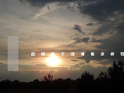 应按哪个法律条文处罚 应按哪个法律条文处罚