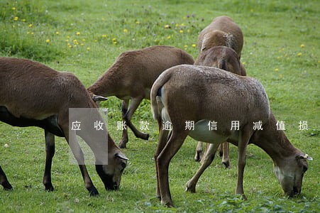 应收账款逾期信用减值损失 应收账款逾期信用减值损失