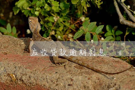 应收贷款逾期利息 应收贷款逾期利息