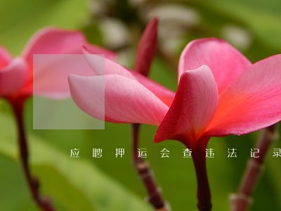 应聘押运会查违法记录吗 应聘押运会查违法记录吗