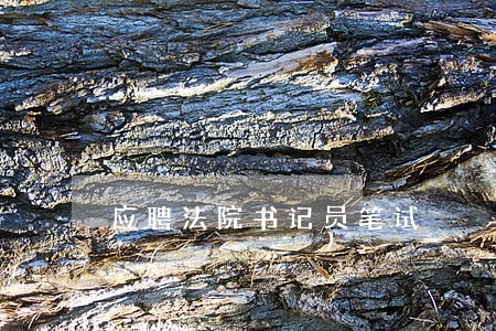 应聘法院书记员笔试 应聘法院书记员笔试