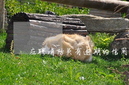 应聘消防员有逾期的信用碍事吗 应聘消防员有逾期的信用碍事吗