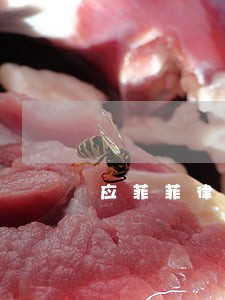 应菲菲律师 应菲菲律师