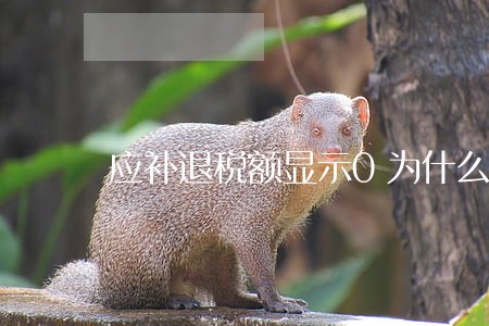 应补退税额显示0为什么还是逾期 应补退税额显示0为什么还是逾期