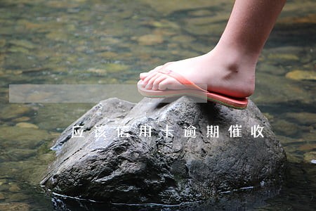 应该信用卡逾期催收 应该信用卡逾期催收