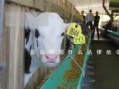 应该根据什么法律条令反驳 应该根据什么法律条令反驳