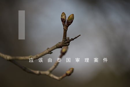 应该由泰国审理案件