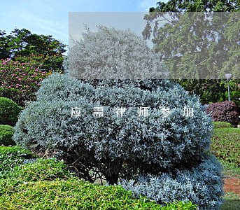 应需律师参加 应需律师参加
