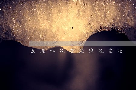 底层协议有法律效应吗 底层协议有法律效应吗