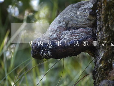 店内从事违法犯罪活动
