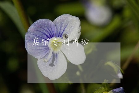 店铺专利诉讼 店铺专利诉讼