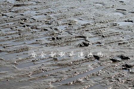 庙会刮刮奖违法吗 庙会刮刮奖违法吗