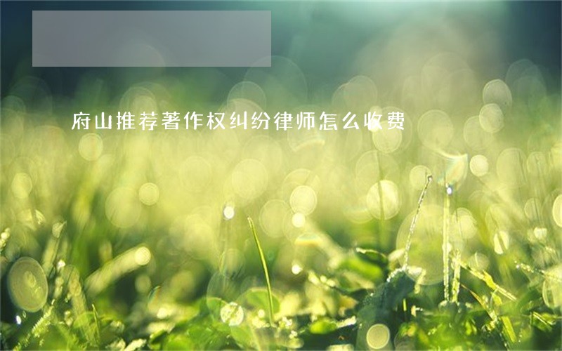 府山推荐著作权纠纷律师怎么收费