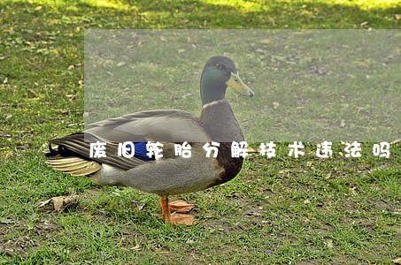 废旧轮胎分解技术违法吗 废旧轮胎分解技术违法吗