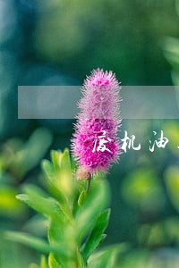 废机油违法犯罪的通告 废机油违法犯罪的通告