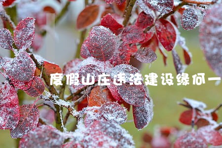 度假山庄违法建设缘何一路绿灯 度假山庄违法建设缘何一路绿灯