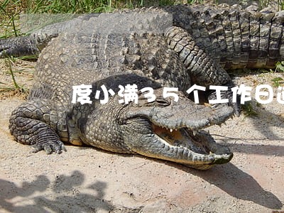度小满35个工作日逾期记录