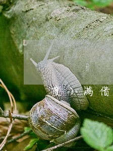 度小满借钱逾期了只还本金可以吗 度小满借钱逾期了只还本金可以吗