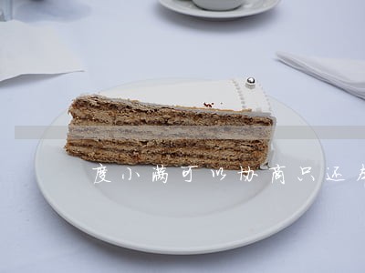 度小满可以协商只还本金吗 度小满可以协商只还本金吗