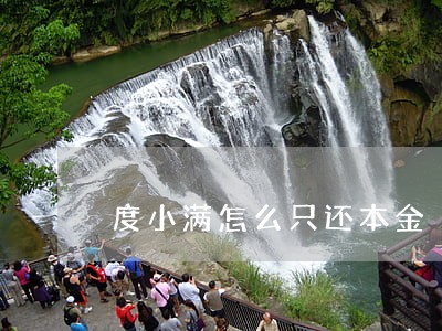 度小满怎么只还本金