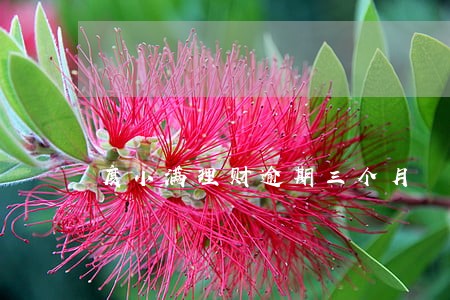 度小满理财逾期三个月 度小满理财逾期三个月