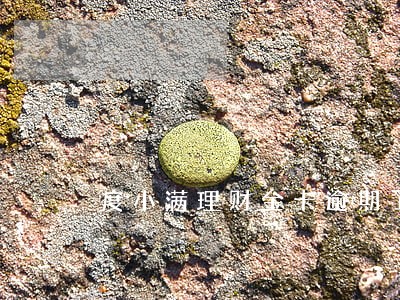 度小满理财金卡逾期了怎么办 度小满理财金卡逾期了怎么办