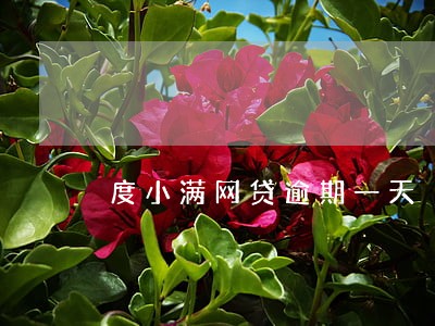 度小满网贷逾期一天 度小满网贷逾期一天