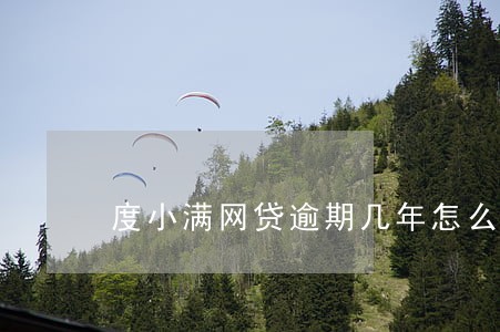 度小满网贷逾期几年怎么处理
