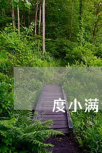 度小满逾期2000一年多未还 度小满逾期2000一年多未还